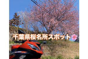 千葉県春の桜名所スポット特集！！