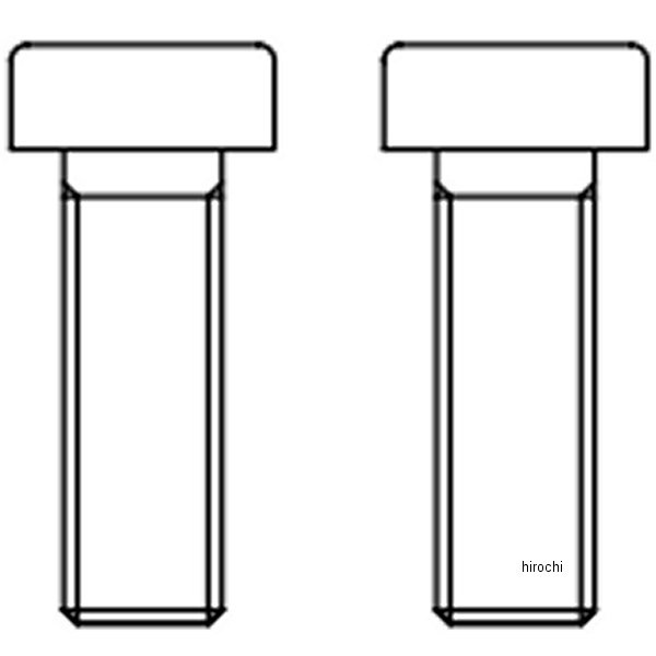 極低頭六角穴付ボルト M6X18 2個入り