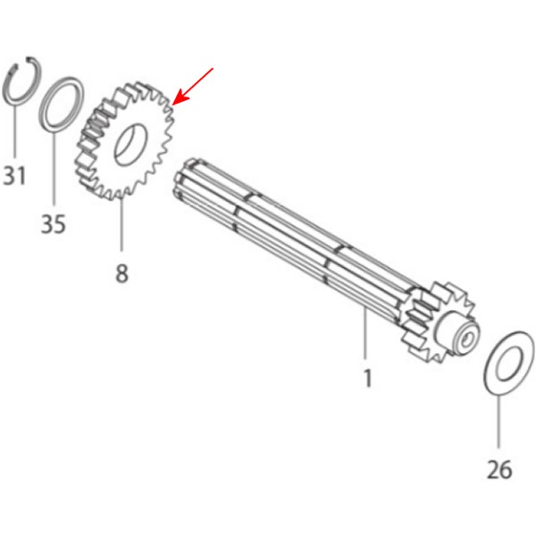 メインシャフト フィフスギヤ 24T モンキー/TAF 5速 スーパーストリート