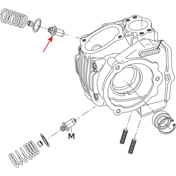 バルブガイド(IN)