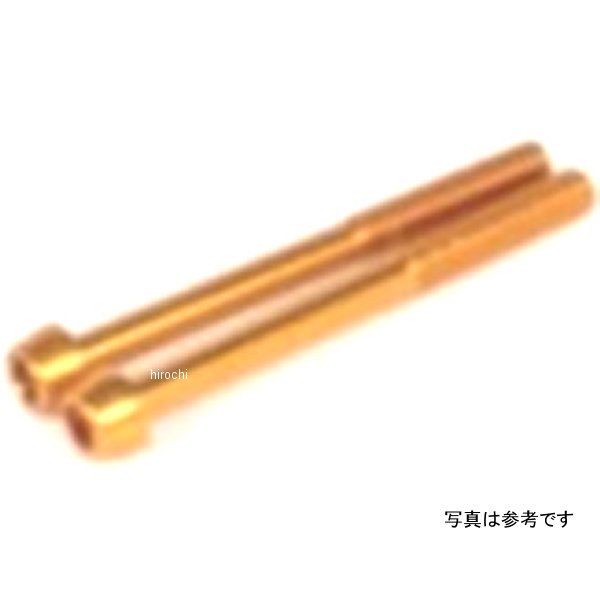 アルミ ボルト テーパー 6X60/ゴールド/2本
