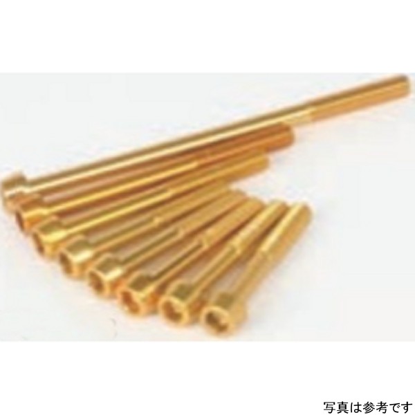 アルミ ボルト Lクランクケースカバーヨウ (ゴールド)