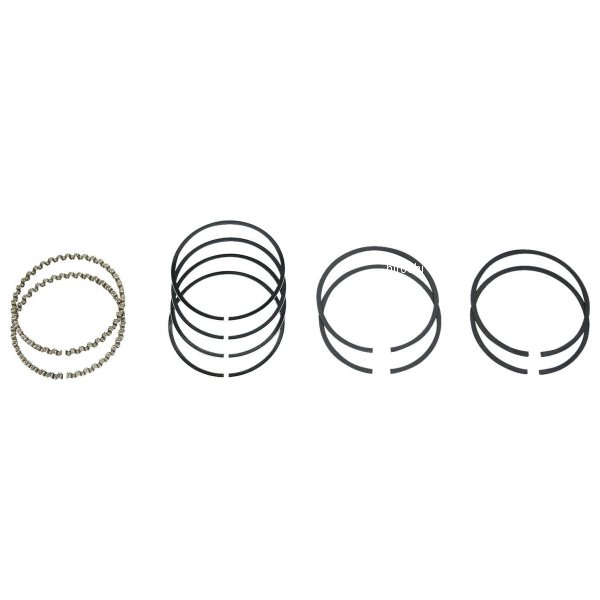 HASTINGS ヘイスティングス ピストンリング 1200/1340cc EVO モリブデン +.030