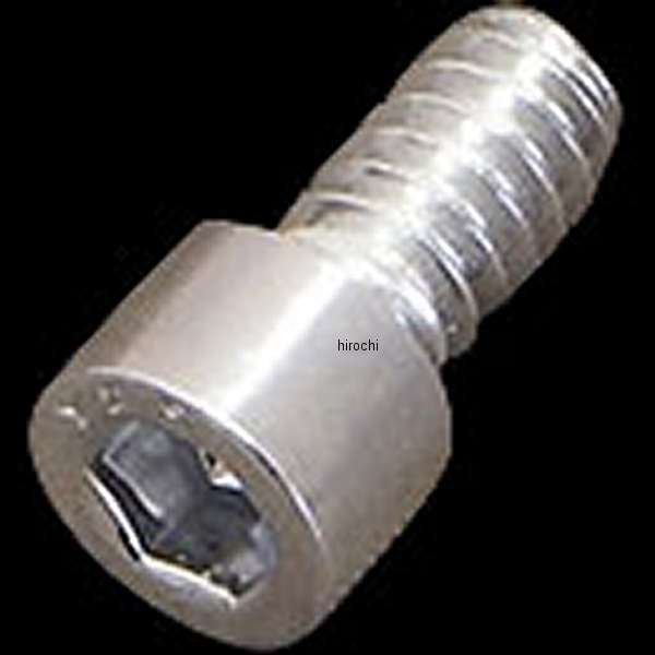 ギアカバー マウントスクリュー 10-24x3/8インチ クローム