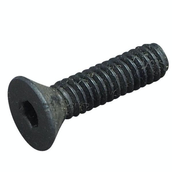 スクリュー 1/4-20 x 1インチ ブラッククローム