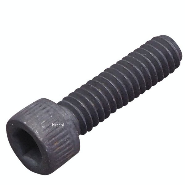オイルポンプスクリュー ブラック No8-32×5/8 07年以降 TC
