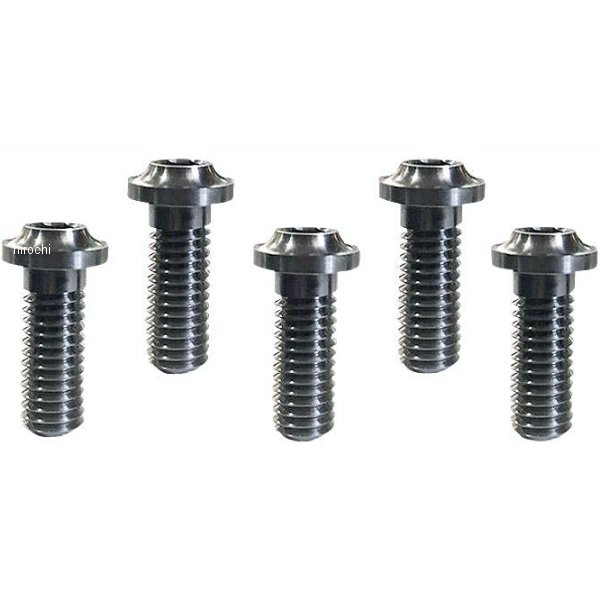 ローターボルトキット ロープロファイル チタニウム フロント マシンフィニッシュ 029465