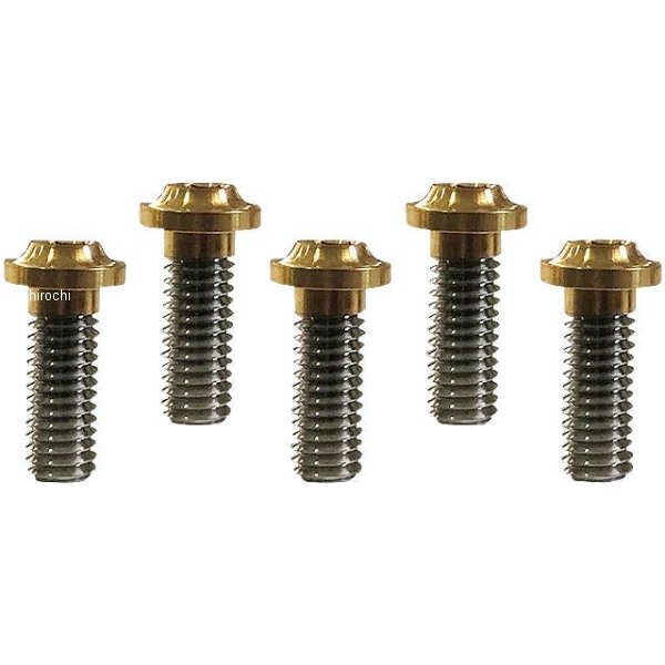 ローターボルトキット ロープロファイル チタニウム フロント ゴールド 029467