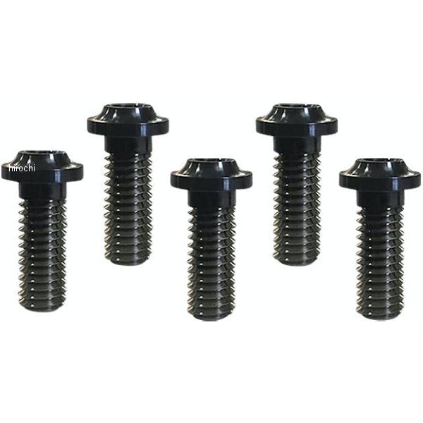 ローターボルトキット ロープロファイル チタニウム リア 黒 029469