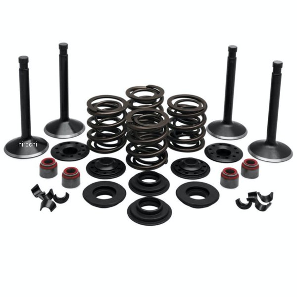 481257  バルブ&スプリングキット