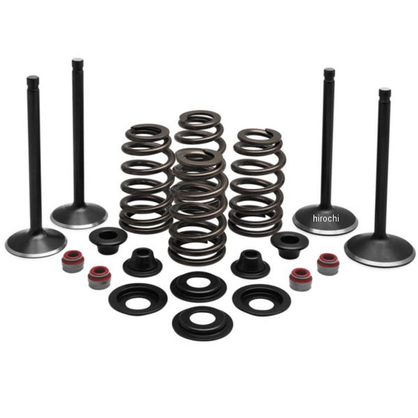 481271  バルブ&スプリングキット