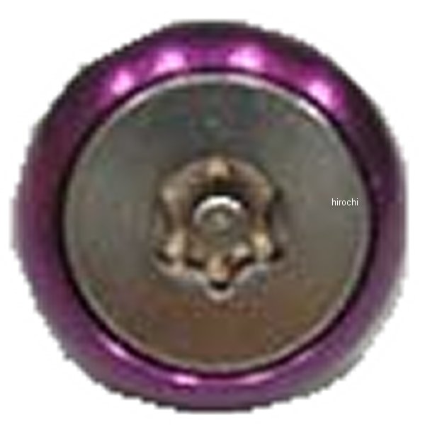 ローゼットワッシャーM6(パープル)