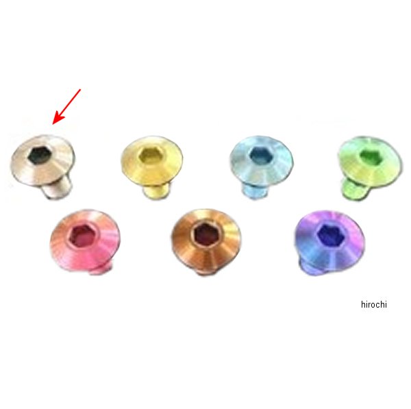 取付チタンボルトセット ハイパーバンク用 Z900RS シルバー