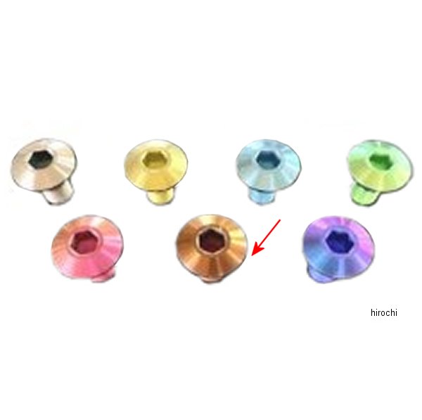 取付チタンボルトセット ハイパーバンク用 Z900RS ウッドブラウン