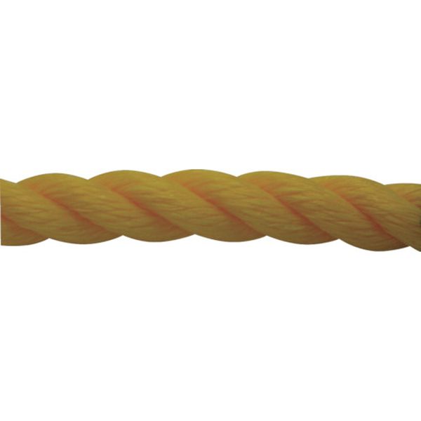 PE50 113-7021  ロープ PEロープ巻物 9φ×200m イエロー