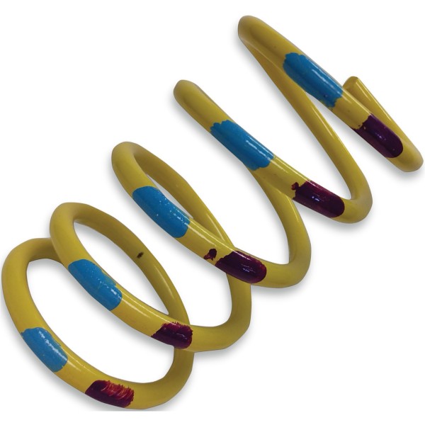 プライマリー クラッチ スプリング 165-350LBS