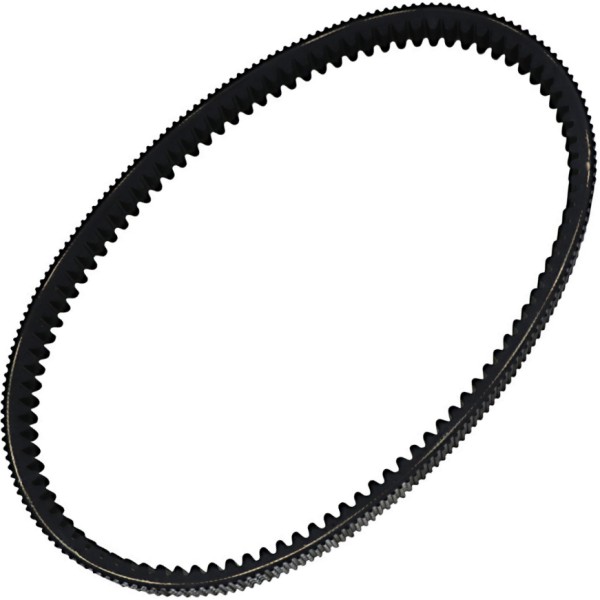 RPX レース パフォーマンス ベルト 1.415インチ x 44.500インチ RPX5033