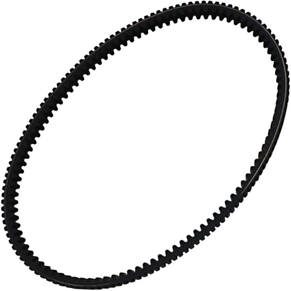 RPX レース パフォーマンス ベルト 1.460インチ x 46.770インチ RPX5020