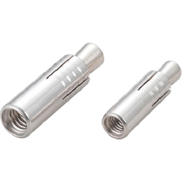 ルーティカットアンカーステンレス CASタイプ  50本入り