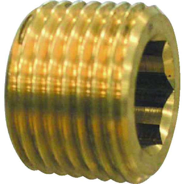 SMP   砲金豆プラグ