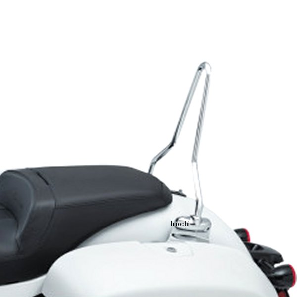 【セール特価】 SISSYBAR W/MOUNTS IND 14+