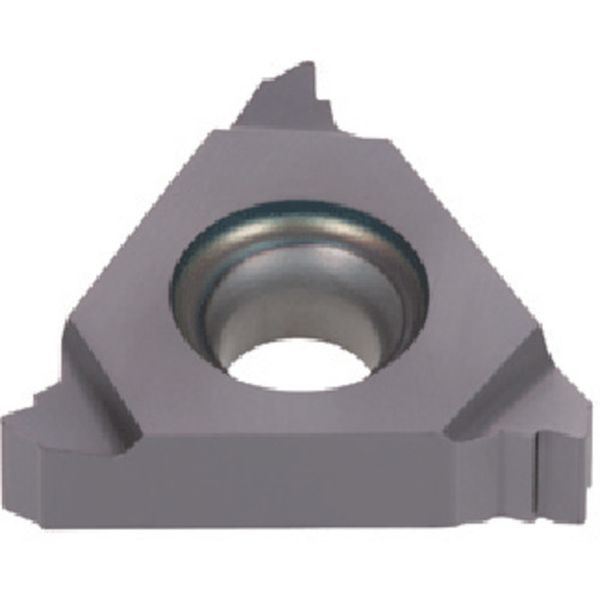 旋削用ねじ切りTACチップ 5個入り