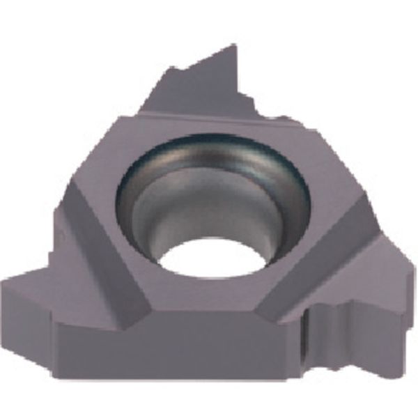 旋削用ねじ切りTACチップ COAT 5個入り