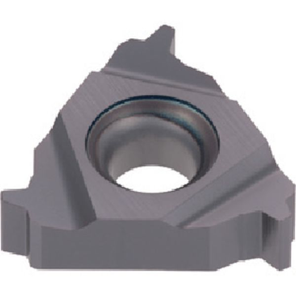 旋削用ねじ切りTACチップ COAT 5個入り