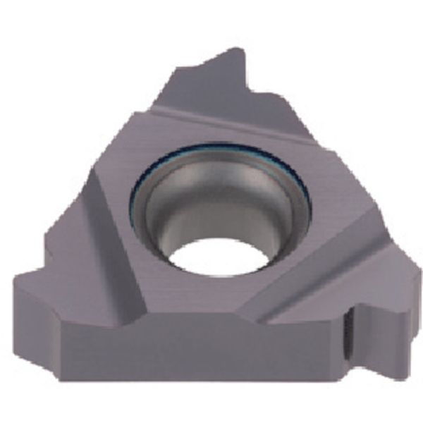 旋削用ねじ切りTACチップ COAT 5個入り