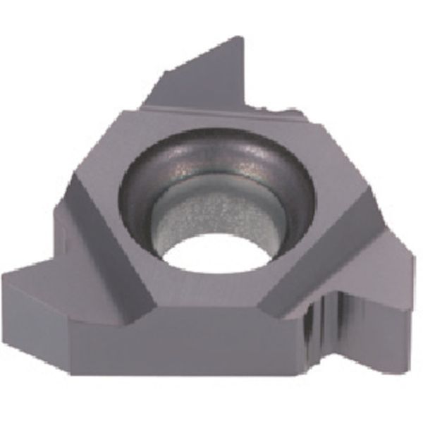 旋削用ねじ切りTACチップ COAT 5個入り