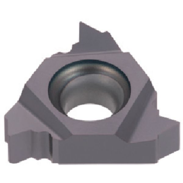 旋削用ねじ切りTACチップ COAT 5個入り