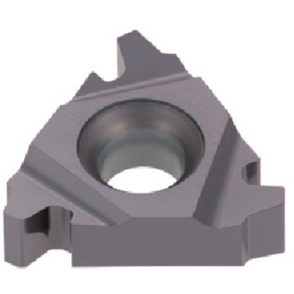 旋削用ねじ切りTACチップ COAT 5個入り