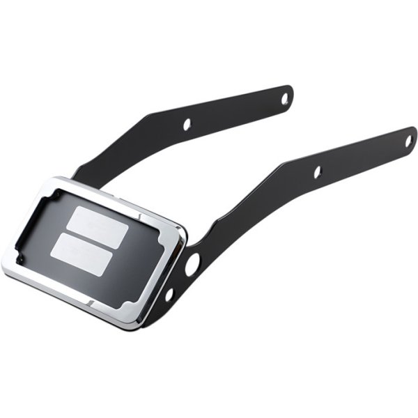 ナンバープレート 18年以降 FLSL タグライト付 クローム