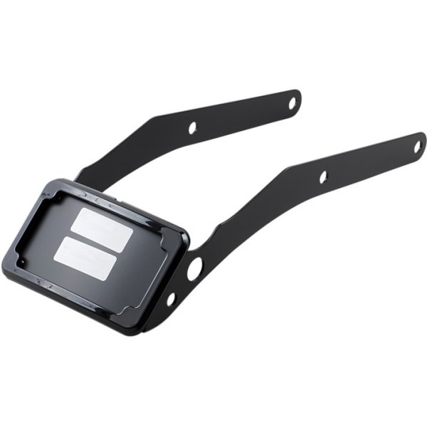 ナンバープレート 18年以降 FLSL タグライト付 クローム