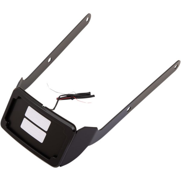 ナンバープレート 18年以降 FXFB タグライト付 黒