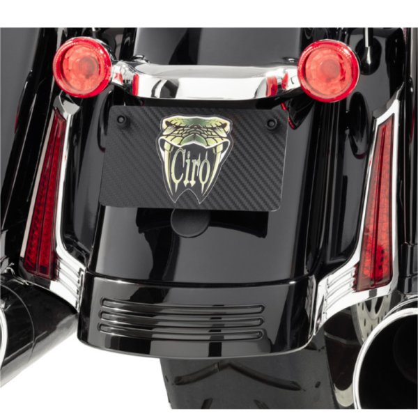 LEDフィラーパネルライト 15年以降 FLTRX 黒/赤ウインカー