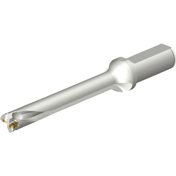 DS20D1800L2507 216-0987 コロドリルDS20刃先交換式ドリル(465)