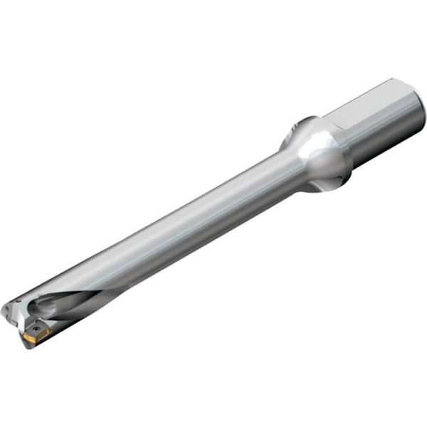 DS20D3600L4007 216-2526 コロドリルDS20刃先交換式ドリル(465)