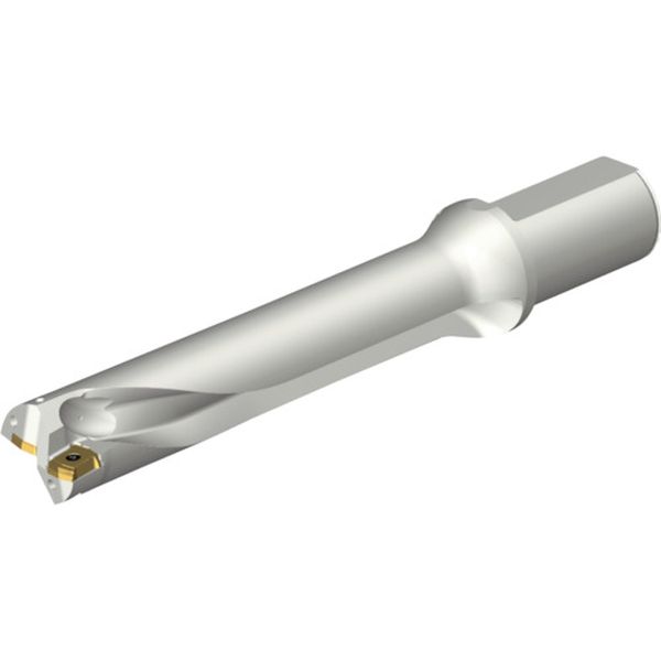 DS20D3700L4005 216-2569 コロドリルDS20刃先交換式ドリル(465)