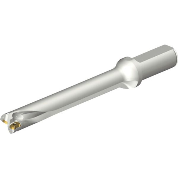 DS20D2100L2507 216-2584 コロドリルDS20刃先交換式ドリル(465)