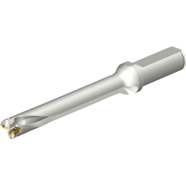 DS20D1600L2007 216-4112 コロドリルDS20刃先交換式ドリル(465)