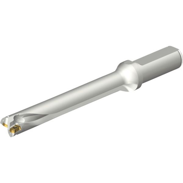 DS20D1700L2007 216-4117 コロドリルDS20刃先交換式ドリル(465)