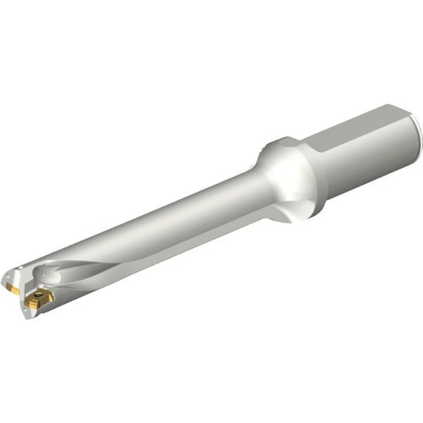 DS20D2000L2506 216-5654 コロドリルDS20刃先交換式ドリル(465)