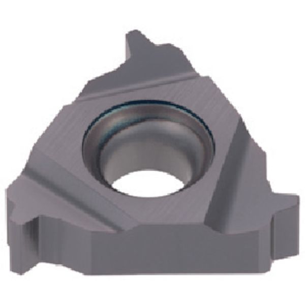 旋削用ねじ切りTACチップ COAT 5個入り