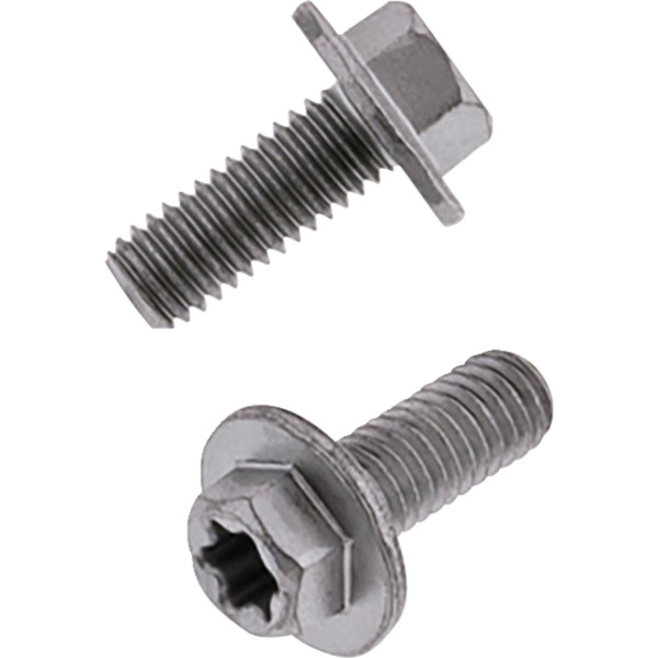 ユーロスタイル大型フランジボルト M6ｘ15 10個パック