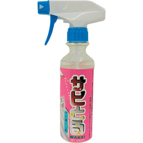 248-4065  サビとる