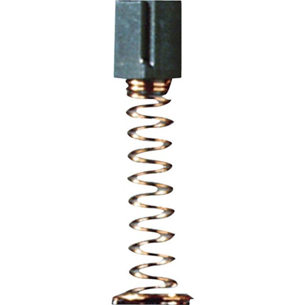 カーボンブラシ (2個入)