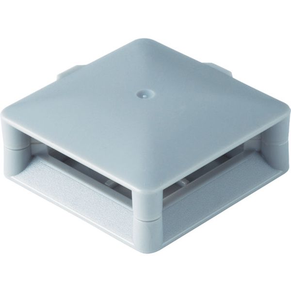 ムカデコロリ(毒餌剤)容器タイプ