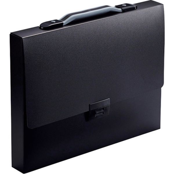 282K 248-5309  キャリングケ-ス TeFit 黒