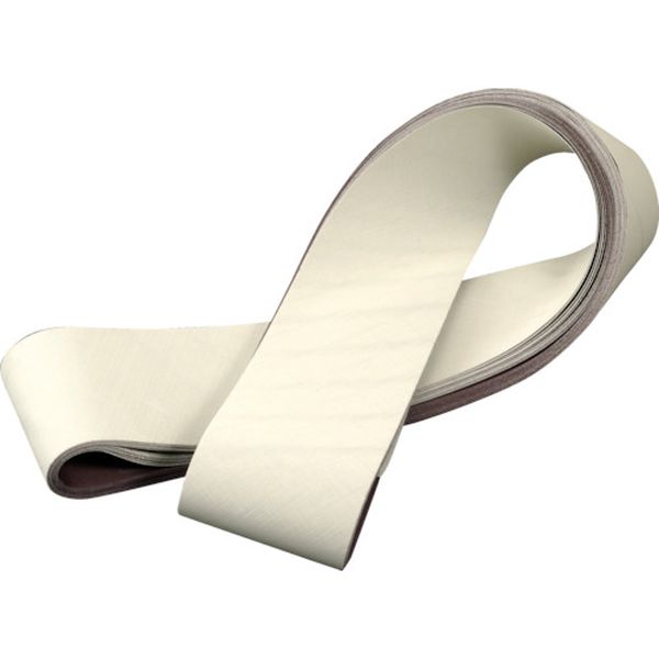 305E350X2100FL 305EA トライザクトベルト A3 50X2100mm ＃4000 10本入り